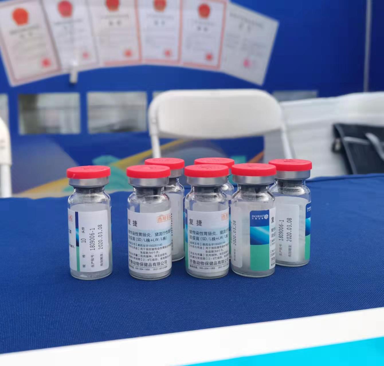 人得了布病能活多久(大家好我是江西上饶的现在想养殖绵羊)