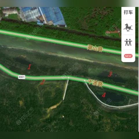 无锡市鲫鱼饭店在哪里啊