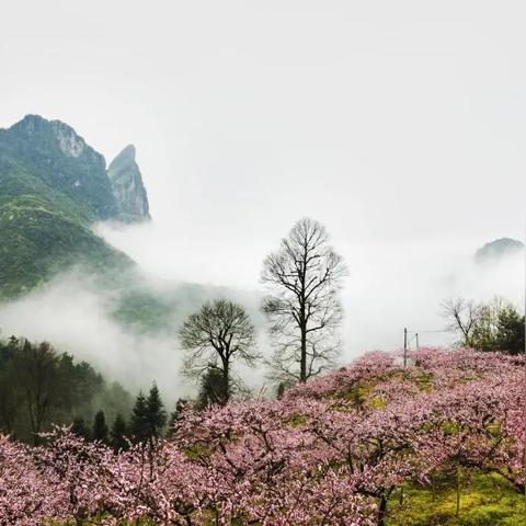 厦门到古田有多少公里的相关长尾关键词有哪些