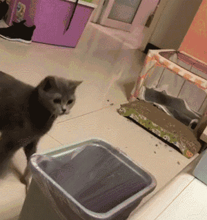 宝宝贪吃有哪些危害