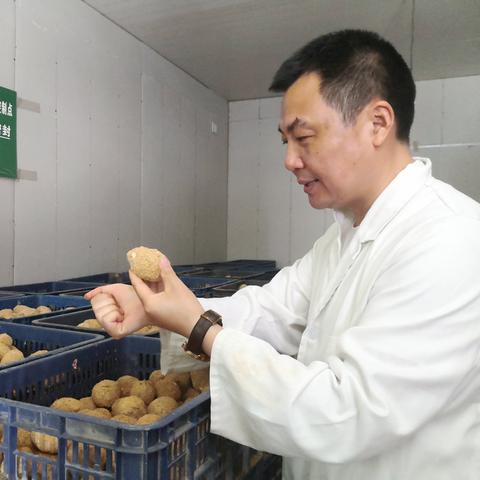 绵阳海外电商电话号码查询 相关的长尾关键词是那些 