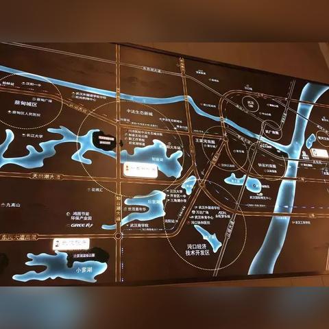 江汉路地铁站到武汉市蔡甸区大集街天鹅湖大道？