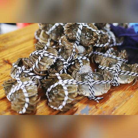 苏州火车站到常熟沙家浜怎么走