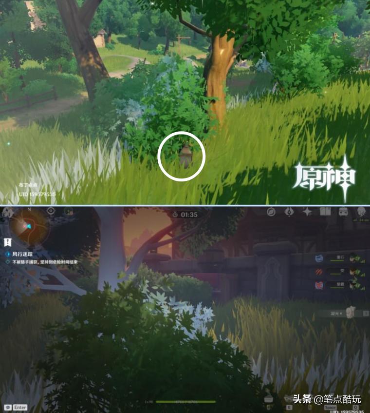 原神任务藏匿之泪怎么过（须弥神瞳怎么拿）