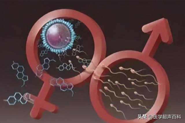 优生优育有哪些硬指标