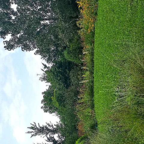 沈阳植物园好玩吗？