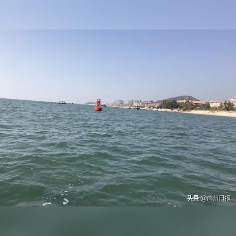 广州市单双号是什么意思