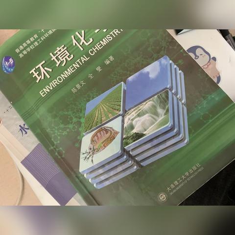 大连足球运动员周琪的长尾关键词有哪些
