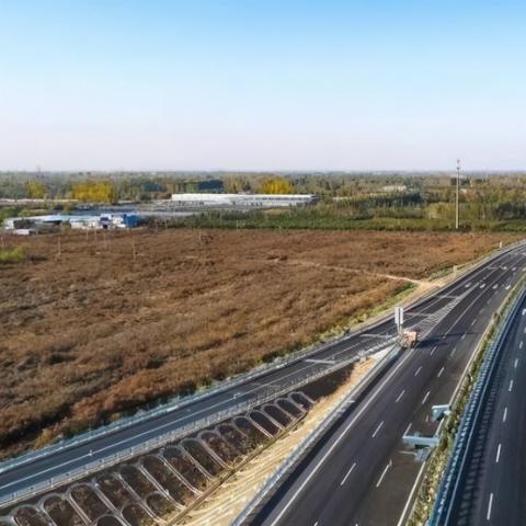 临沂市代管县是哪个区