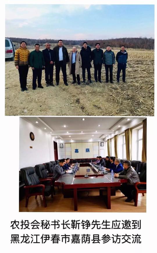 挥别2019，展望2020，为了三农创业创新，农投会将要这么干