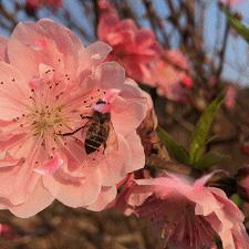 2021年广州可支配收入？