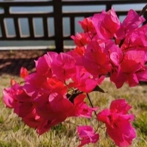 厦门集美区景点的相关长尾关键词有哪些