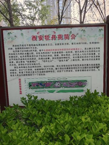 西安市牡丹园在什么地方