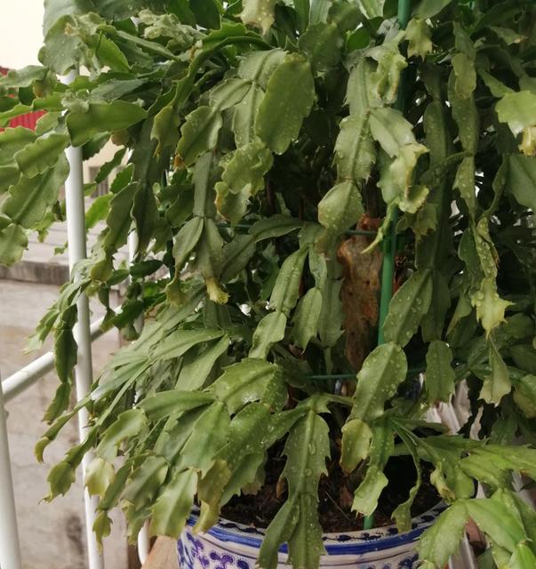 宝宝秋季怎么晒太阳