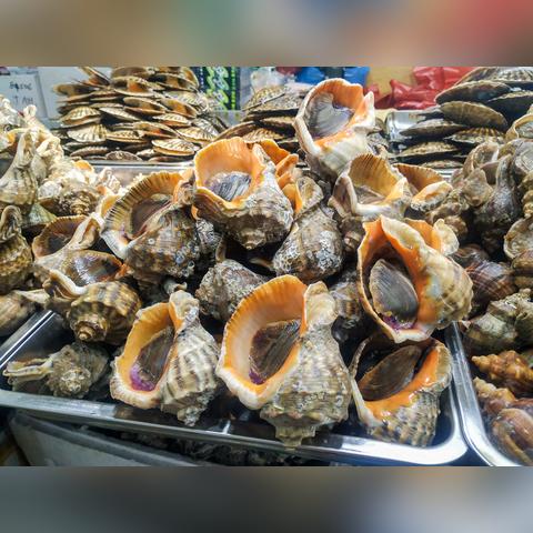 哈尔滨最好的海鲜餐厅相关长尾关键词有哪些