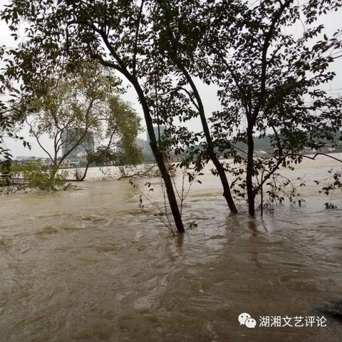 长沙市淹了吗相关长尾关键词有哪些