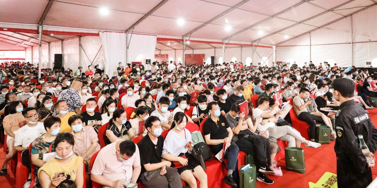 双11购物狂欢榜：揭秘销售额TOP 5商品及热门消费区域