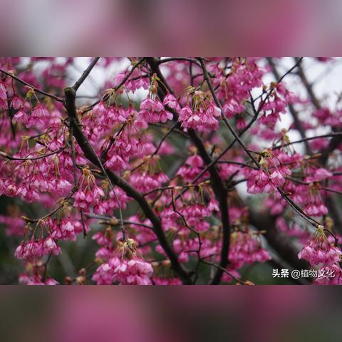 福建简称什么？