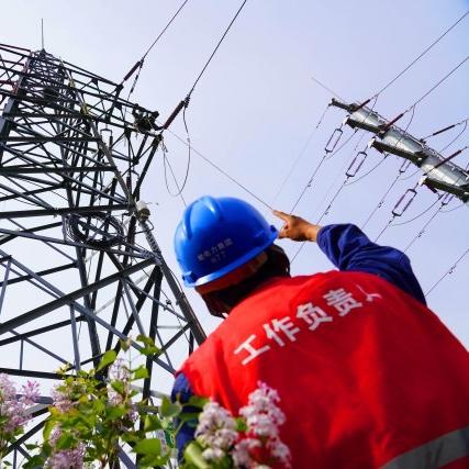 哈尔滨市钢结构多少钱