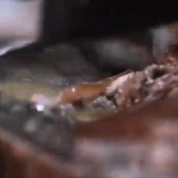 武汉青山剁饼子2016的相关长尾关键词有哪些