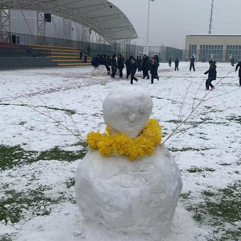 保定市高速招人信息的长尾关键词有哪些