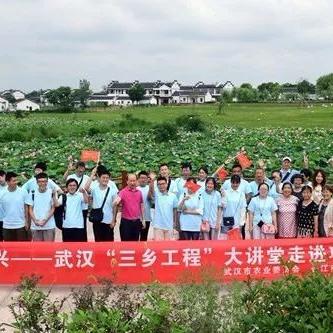 跨境电商运营师补助多少