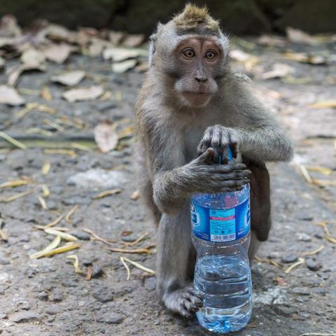 2015河南高考的相关长尾关键词有哪些