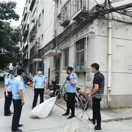 济南市不让养什么狗