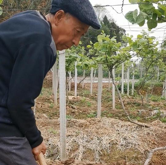 憨厚老农民创业血泪记，他搞农业失败八次后沦为贫困户，最后……