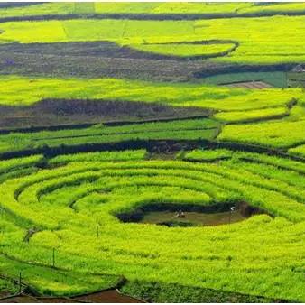 桂林卫生间地漏价格相关长尾关键词有哪些