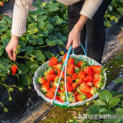 石家庄市哪有卖农家院的的长尾关键词有什么