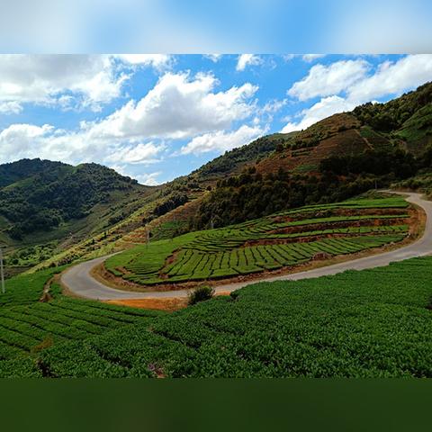 福建安溪是什么地方？