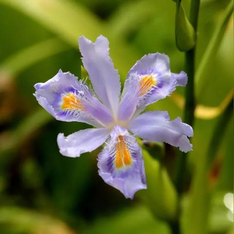 宁波 彩虹的长尾关键词有什么