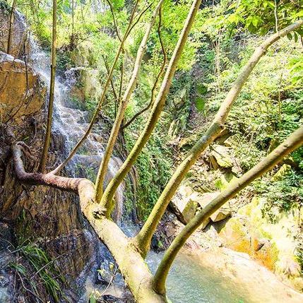 佛山市二手玻璃机械厂的长尾关键词有哪些