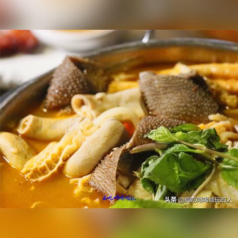 厦门市螺蛳店哪里好玩