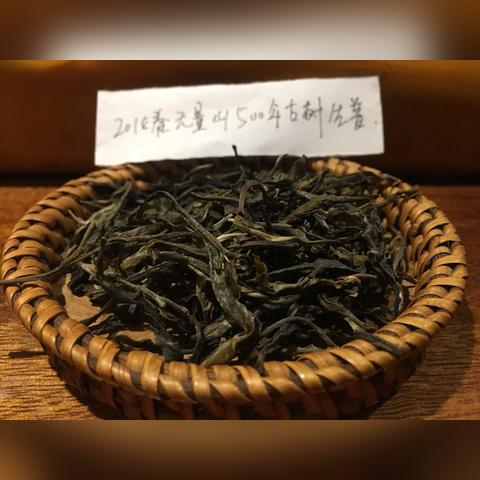福建普洱茶品牌排行榜的相关长尾关键词有哪些