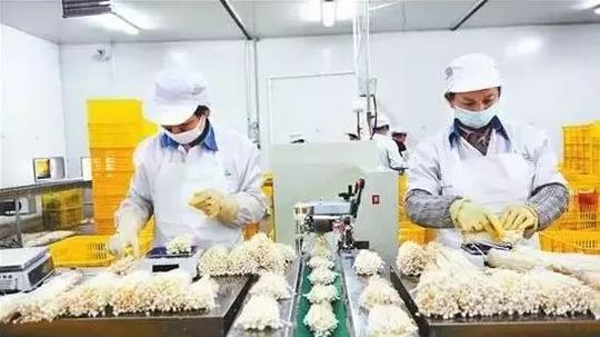 村里这些产业今年要火！农业农村部已明确要支持！看完后赚钱思路大开
