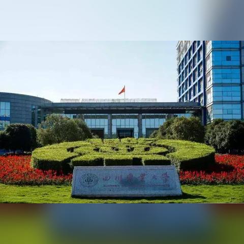 成都市花园二居室房价的长尾关键词有哪些