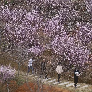 温州市心理医院哪里好