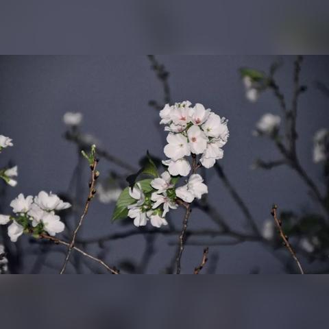 今年十月天气怎么样