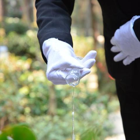 昆明市凤凰山公墓要多少钱