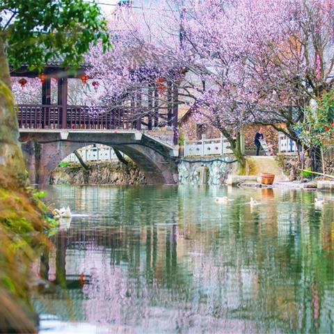 无锡市江南大道桥梁公司的长尾关键词有哪些