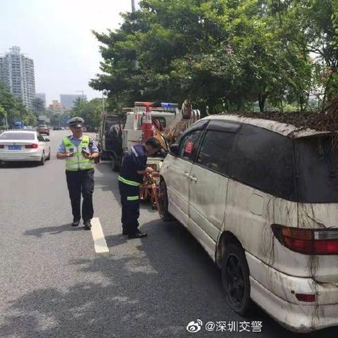什么车不能进去深圳市