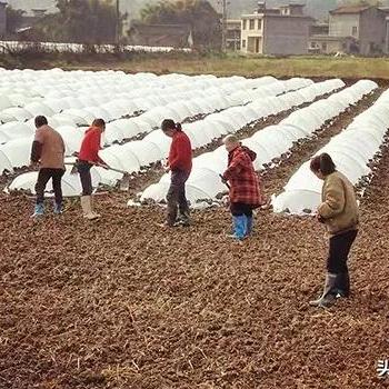 潼南桂林坝农资公司招聘相关长尾关键词有哪些