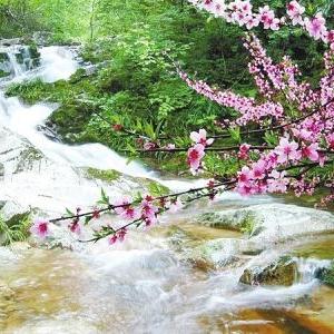 桃花冲风景区什么时间