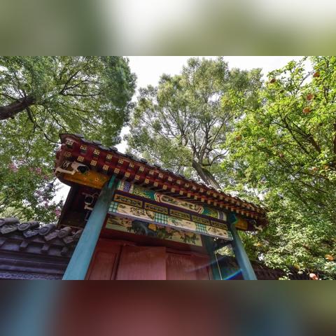 成都市古风别墅在哪里建