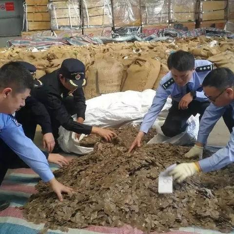 温州市离广西多远的长尾关键词有什么