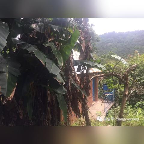 温州市海边景色的长尾关键词有什么