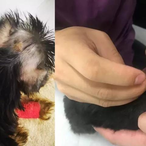 长沙德美丝相关长尾关键词有哪些