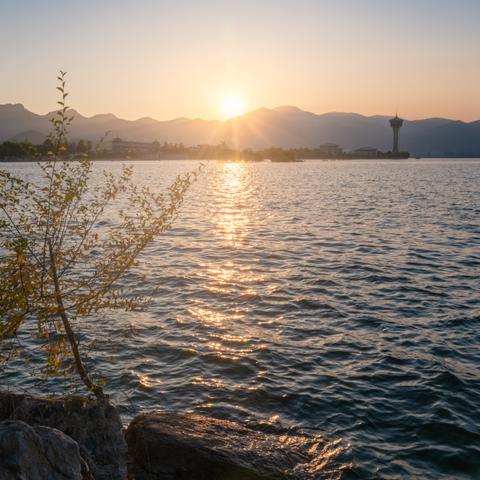 济南牛奶批发市场相关长尾关键词有哪些